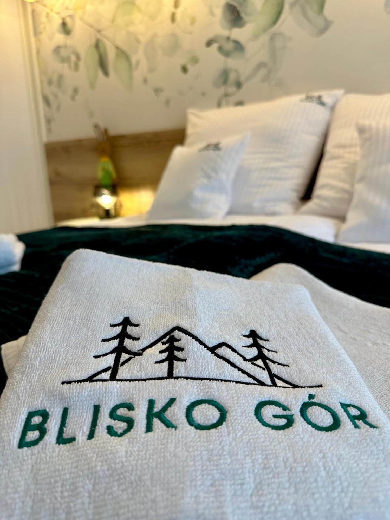 Blisko Gor Szyndzielnia Apartment *